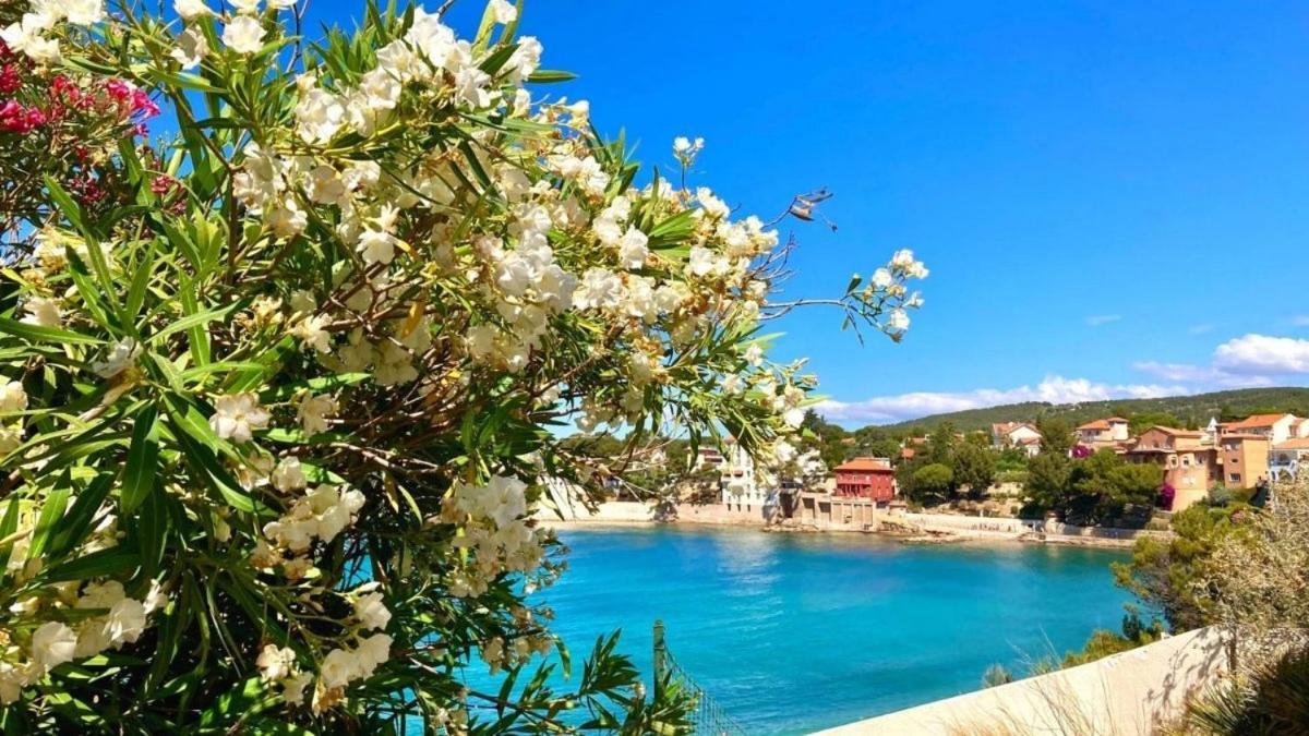 Superbe Appartement En Bord De Mer Bandol Dış mekan fotoğraf