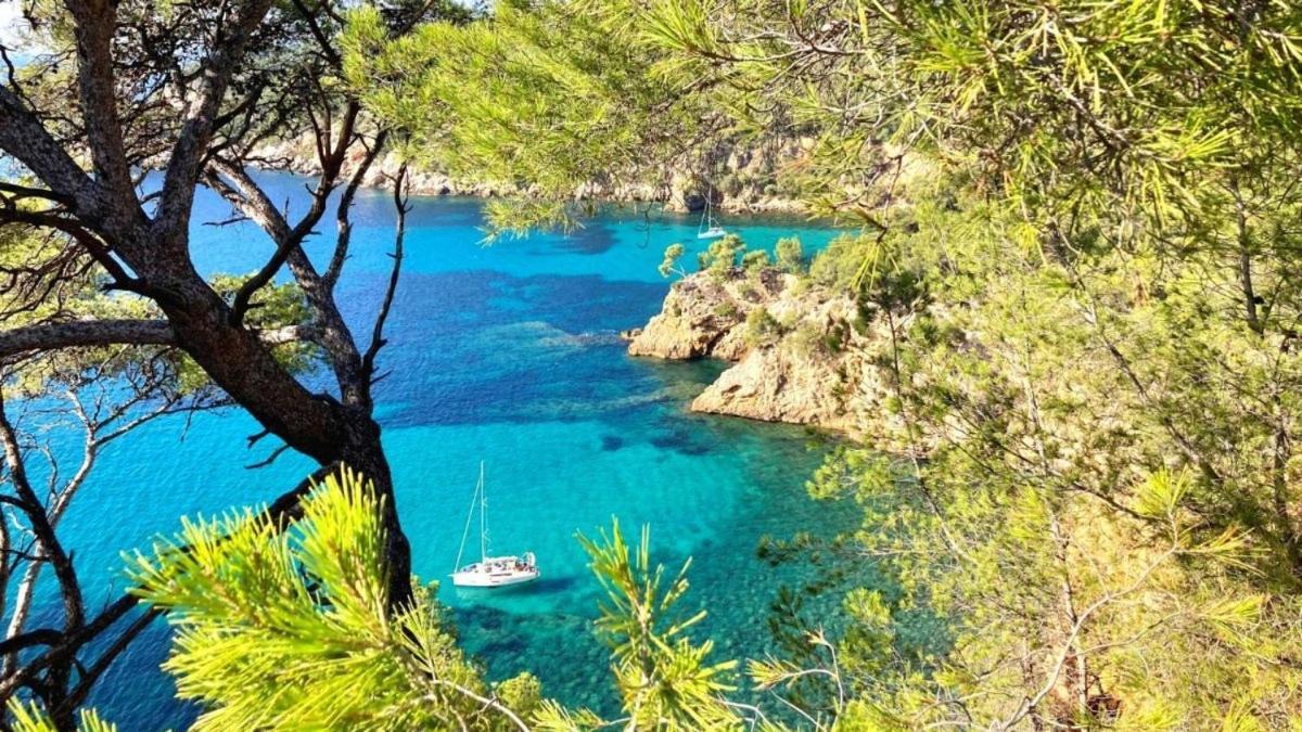 Superbe Appartement En Bord De Mer Bandol Dış mekan fotoğraf